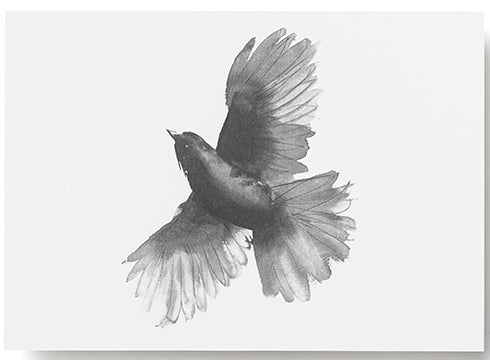 Postkarte SIBERIAN JAY | Teemu Järvi | A6