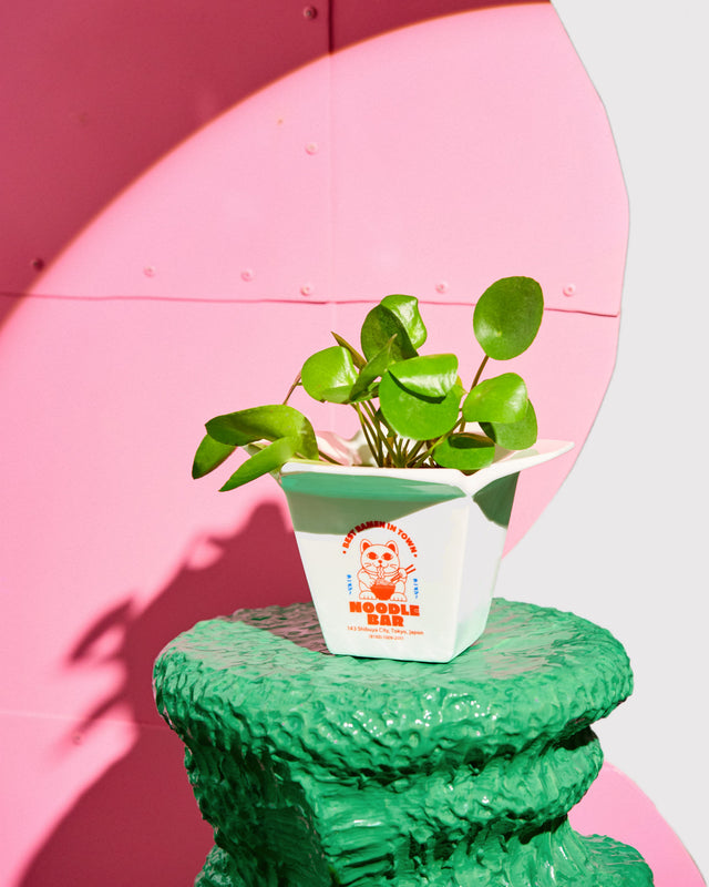 Blumentopf/Vase RAMEN POT | Fluid Market
