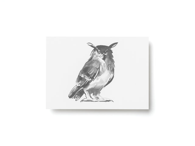 Postkarte EULE | Teemu Järvi | A6