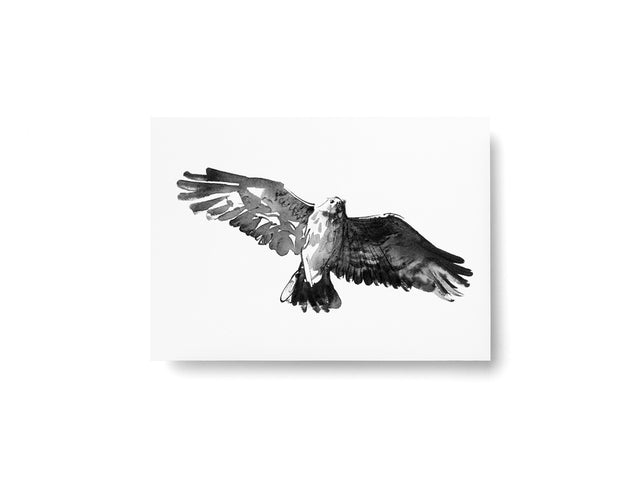 Postkarte BUSSARD | Teemu Järvi | A6