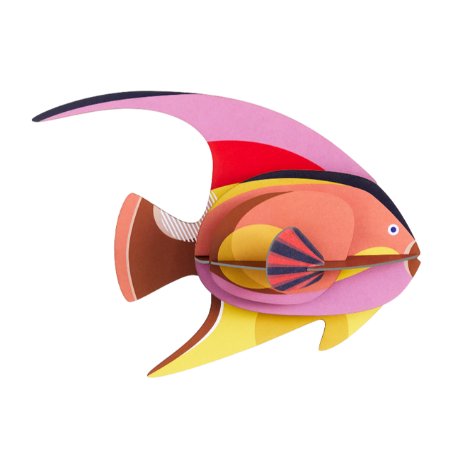 Wanddeko BLACKCAP FISH | Bunter Fisch aus Karton für die Wand