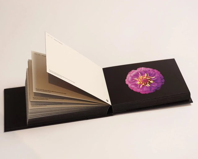 THE BLOOMING BOOK | 100 Fotopostkarten mit Blüten